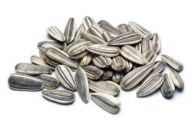 Sunflower Seeds بزر عباد الشمس