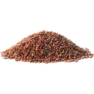Red Quinoa كينوا حمراء