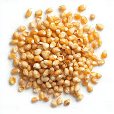 Popcorn Kernels حبوب فشار