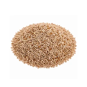 Katuna Seeds بزر الكتونة