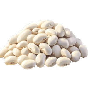 Dried White Beans فاصوليا عريضة