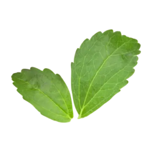 Stevia Leaves ستيفيا