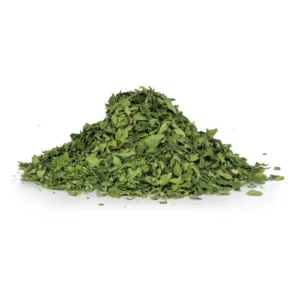 Moringa Tea شاي المورينغا