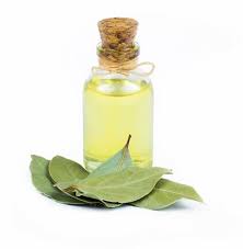 Bay Laurel Oil زيت الغار