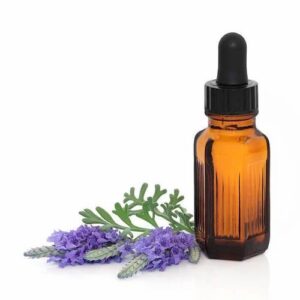Lavender Essential Oil زيت اللافندر