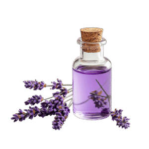 Lavender Essential Oil زيت اللافندر