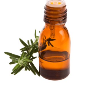 Rosemary Essential Oil زيت إكليل الجبل