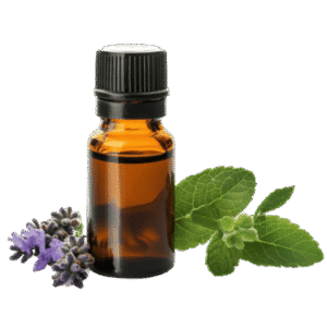 Traditional Incense بخور