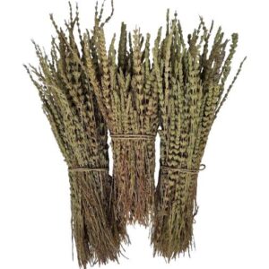 Dried Hyssop زوفا