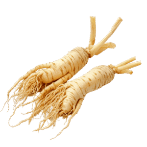 Ginseng Root جينسينغ