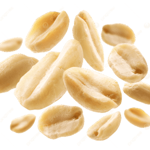 Raw Peeled Peanuts فستق عبيد للطبخ