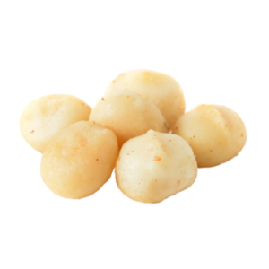 Raw Macadamia Nuts ماكادميا