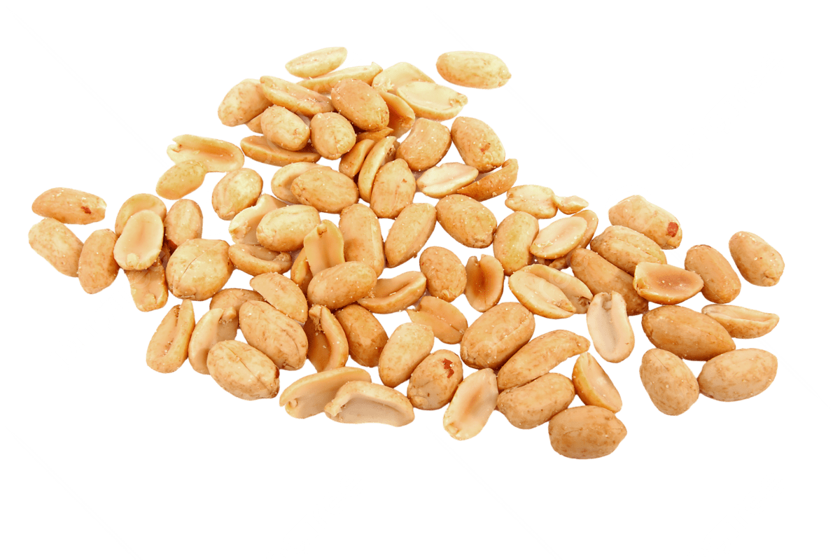 Small Roasted Peanuts (Unsalted) فستق صغير محمص بلا ملح