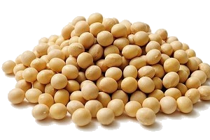 Roasted Soy Beans فول صويا