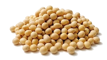 Roasted Soy Beans فول صويا
