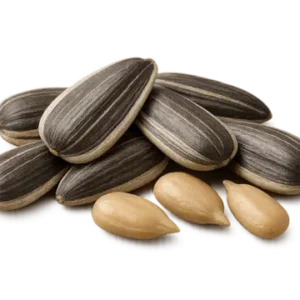 Roasted Sunflower Seeds (Unsalted) بذر دوار الشمس بلا ملح