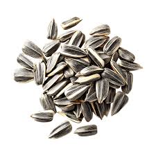 Roasted Sunflower Seeds (Salted) بذر دوار الشمس بملح