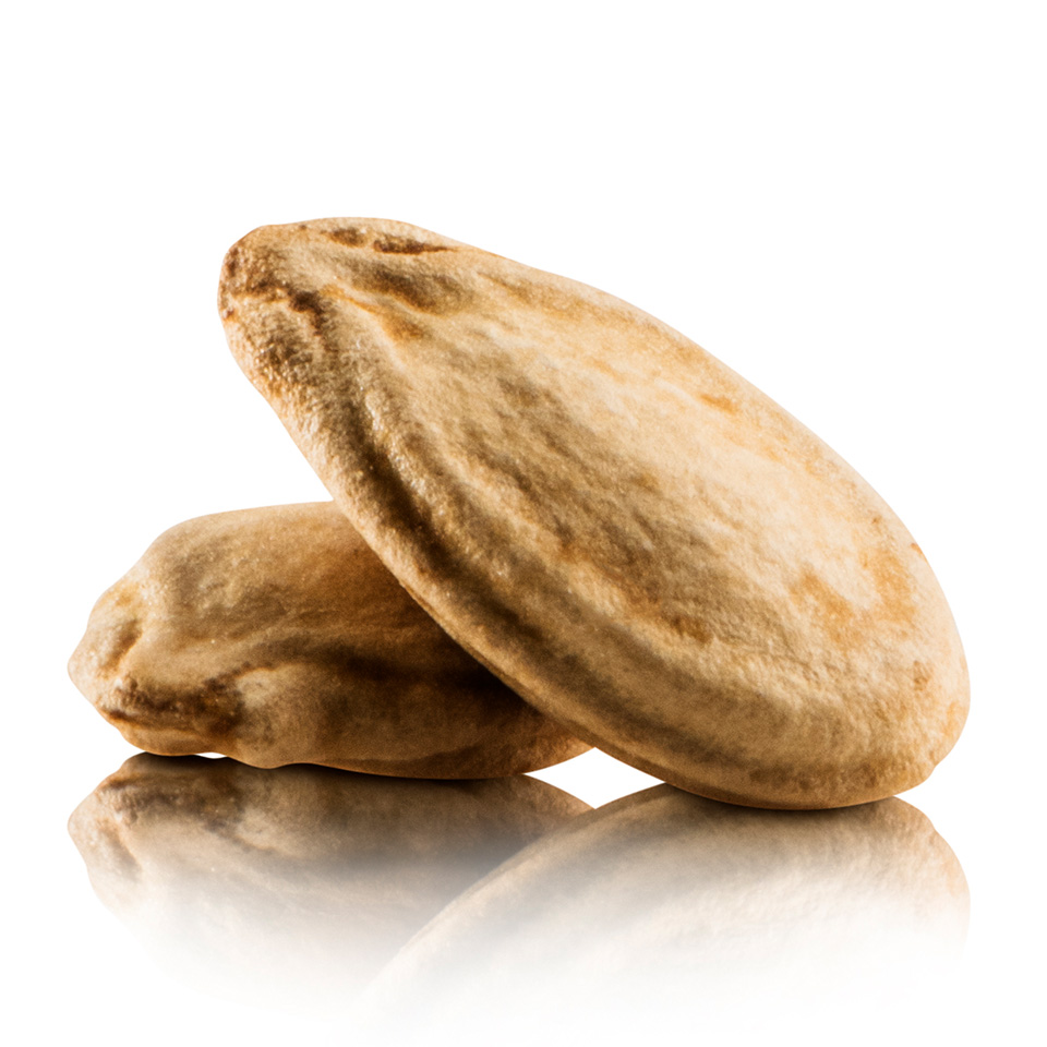 Egyptian Style Seeds بذر مصري