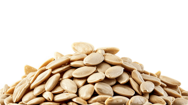 Roasted Melon Seeds (Unsalted) بذر شمام بلا ملح