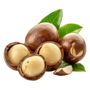 Roasted Macadamia Nuts ماكاداميا محمص