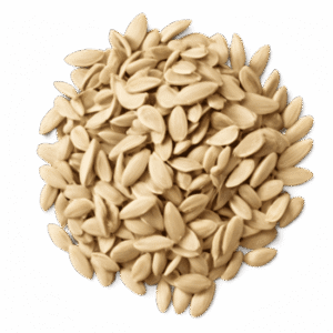 Raw Sunflower Seeds (Shelled) بذر دوار الشمس نيء