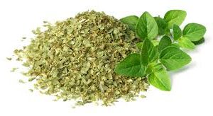 Oregano Leaves اوريغانو