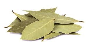 Bay Leaves ورق غار