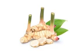 Galangal Root خولنجان