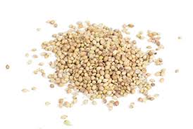 Whole Coriander Seeds كزبرة حب