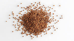 Whole Mustard Seeds خردل حب